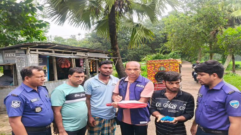 শুরু হয়েছে শীতের মৌসুম, শীতের ফুলে রঙিন প্রকৃতি